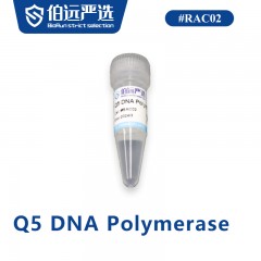 Q5 DNA Polymerase
