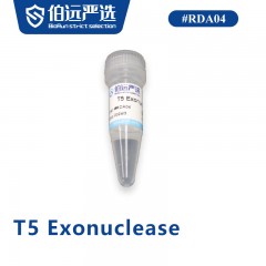 T5 Exonuclease