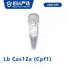 Lb Cas12a (Cpf1)