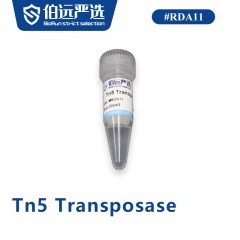 Tn5 Transposase
