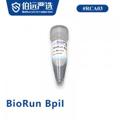 BioRun BpiI