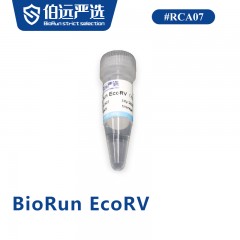 BioRun EcoRV