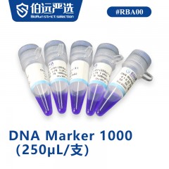 DNA Marker 1000（250µL/支）