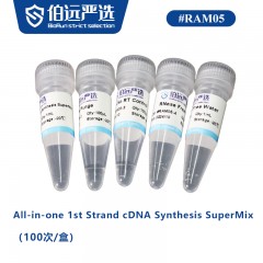 All-in-one 1st Strand cDNA Synthesis SuperMix