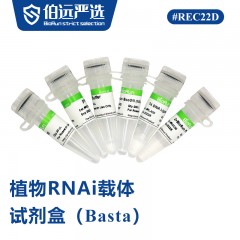 双子叶RNAi载体试剂盒（Basta）